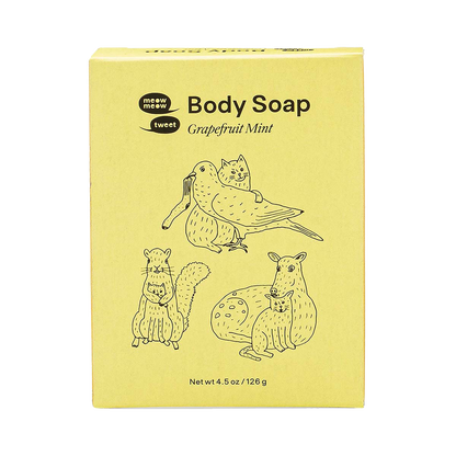 Body Soap